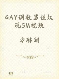 GAY调教男性奴玩SM视频