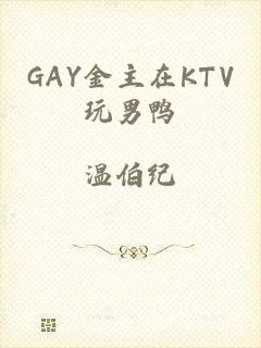 GAY金主在KTV玩男鸭