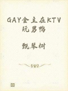 GAY金主在KTV玩男鸭