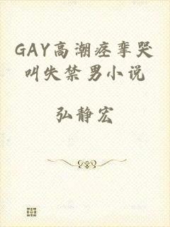 GAY高潮痉挛哭叫失禁男小说