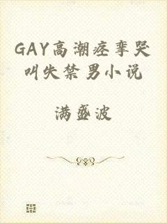 GAY高潮痉挛哭叫失禁男小说