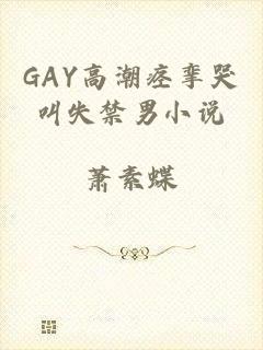 GAY高潮痉挛哭叫失禁男小说