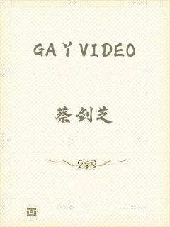 GA丫VIDEO