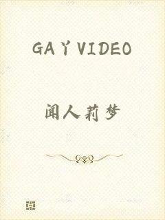 GA丫VIDEO