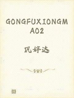 GONGFUXIONGMAO2