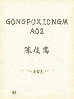 GONGFUXIONGMAO2