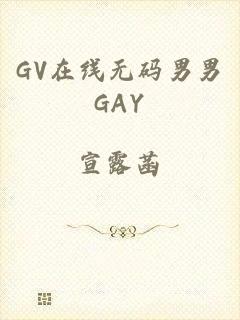 GV在线无码男男GAY