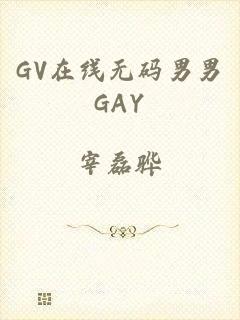 GV在线无码男男GAY