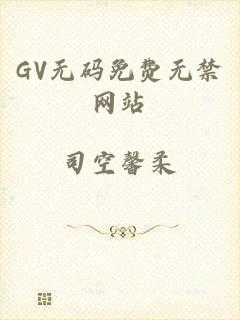 GV无码免费无禁网站