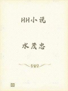 HH小说