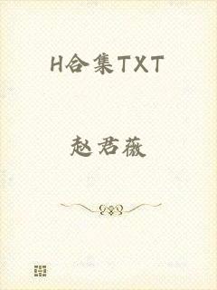 H合集TXT