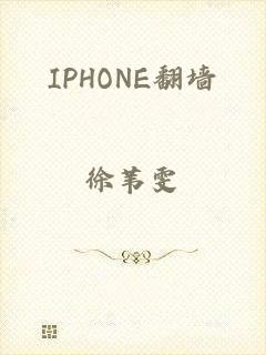 IPHONE翻墙