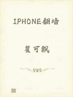 IPHONE翻墙