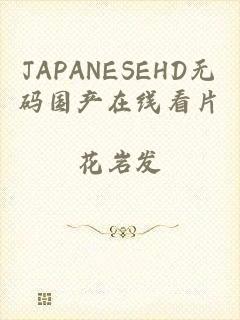 JAPANESEHD无码国产在线看片