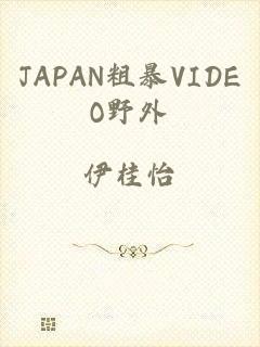 JAPAN粗暴VIDEO野外