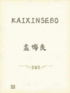 KAIXINSEBO