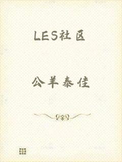 LES社区