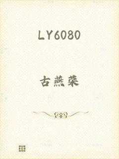 LY6080