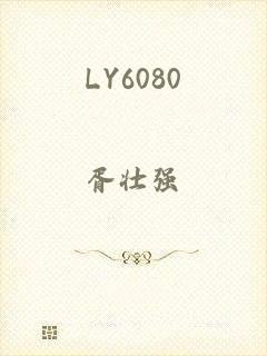 LY6080