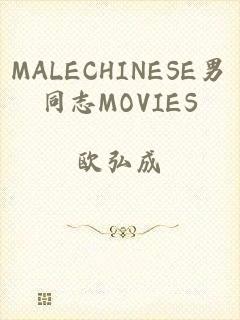 MALECHINESE男同志MOVIES