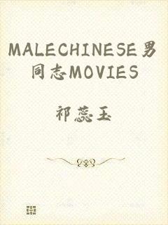 MALECHINESE男同志MOVIES