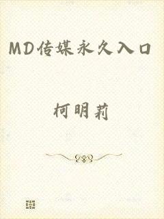 MD传媒永久入口