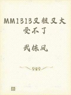 MM1313又粗又大受不了