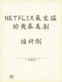 NETFLIX最生猛的黄暴美剧