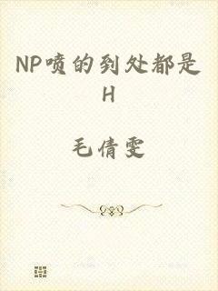 NP喷的到处都是H