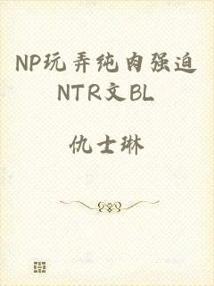 NP玩弄纯肉强迫NTR文BL