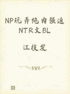 NP玩弄纯肉强迫NTR文BL