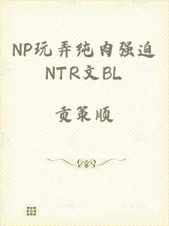 NP玩弄纯肉强迫NTR文BL
