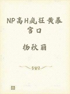 NP高H疯狂黄暴宫口