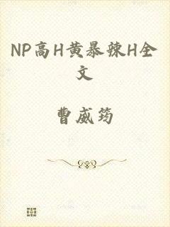 NP高H黄暴辣H全文