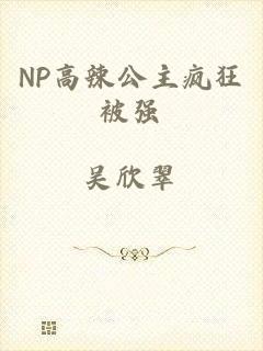 NP高辣公主疯狂被强