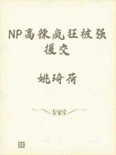 NP高辣疯狂被强援交