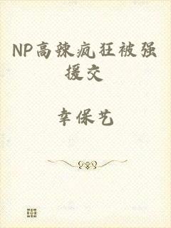 NP高辣疯狂被强援交