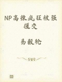 NP高辣疯狂被强援交