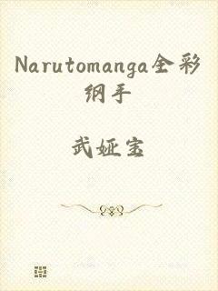 Narutomanga全彩纲手