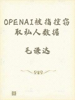 OPENAI被指控窃取私人数据