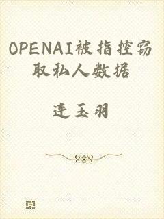 OPENAI被指控窃取私人数据