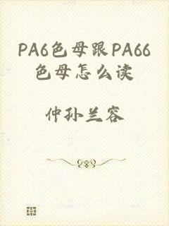 PA6色母跟PA66色母怎么读