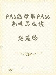 PA6色母跟PA66色母怎么读