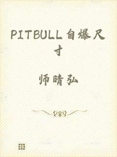 PITBULL自爆尺寸