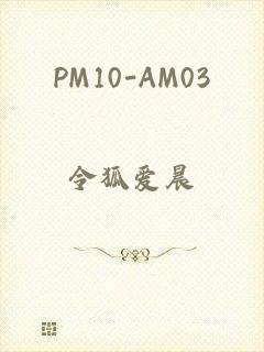 PM10-AM03