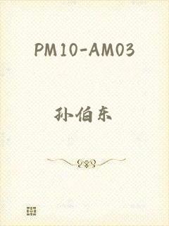 PM10-AM03