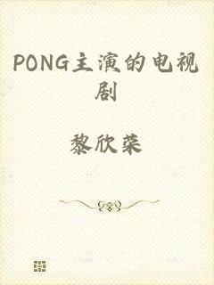 PONG主演的电视剧