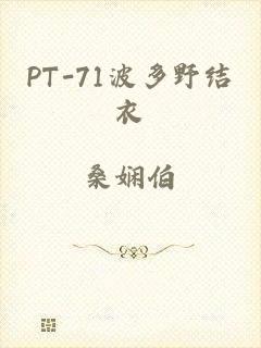 PT-71波多野结衣