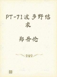 PT-71波多野结衣
