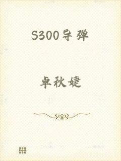 S300导弹